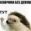 Yes net