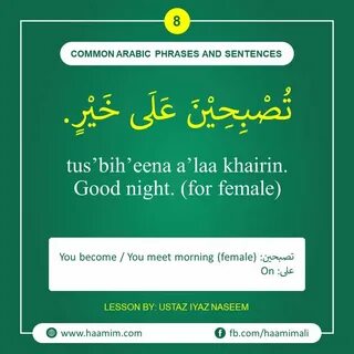 Phrases and sentences