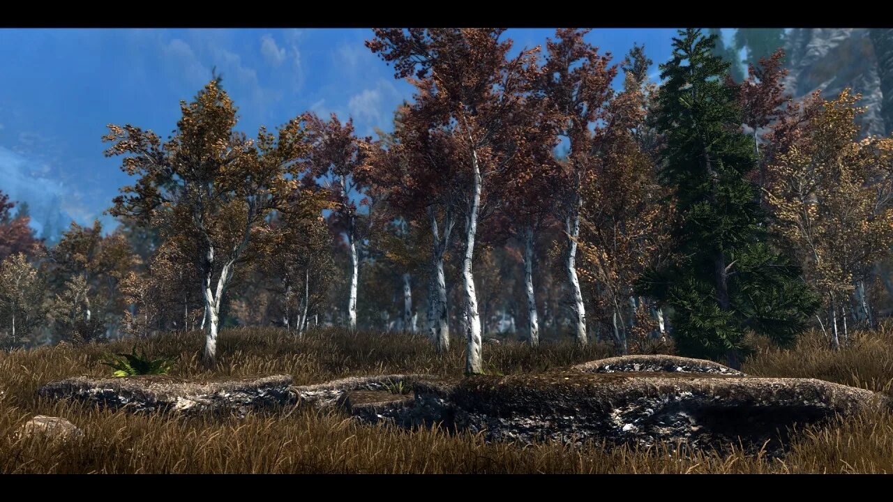 Мод на реалистичные деревья 1.20 1. Skyrim реалистичные сосны. мод на ультра реалистичное дерево. dark fantasy overhaul. realistic aspen trees.