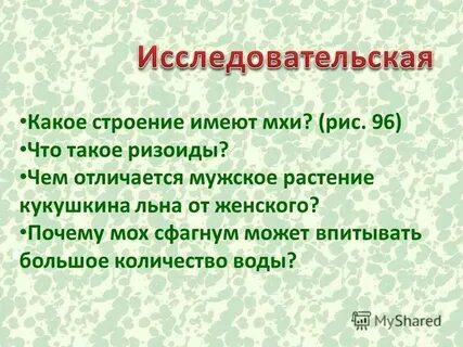 Почему мхи низшие растения