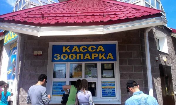 Касса зоопарка. Московский зоопарк касса. Касса в зоосаде. Касса зоопарка картинка.