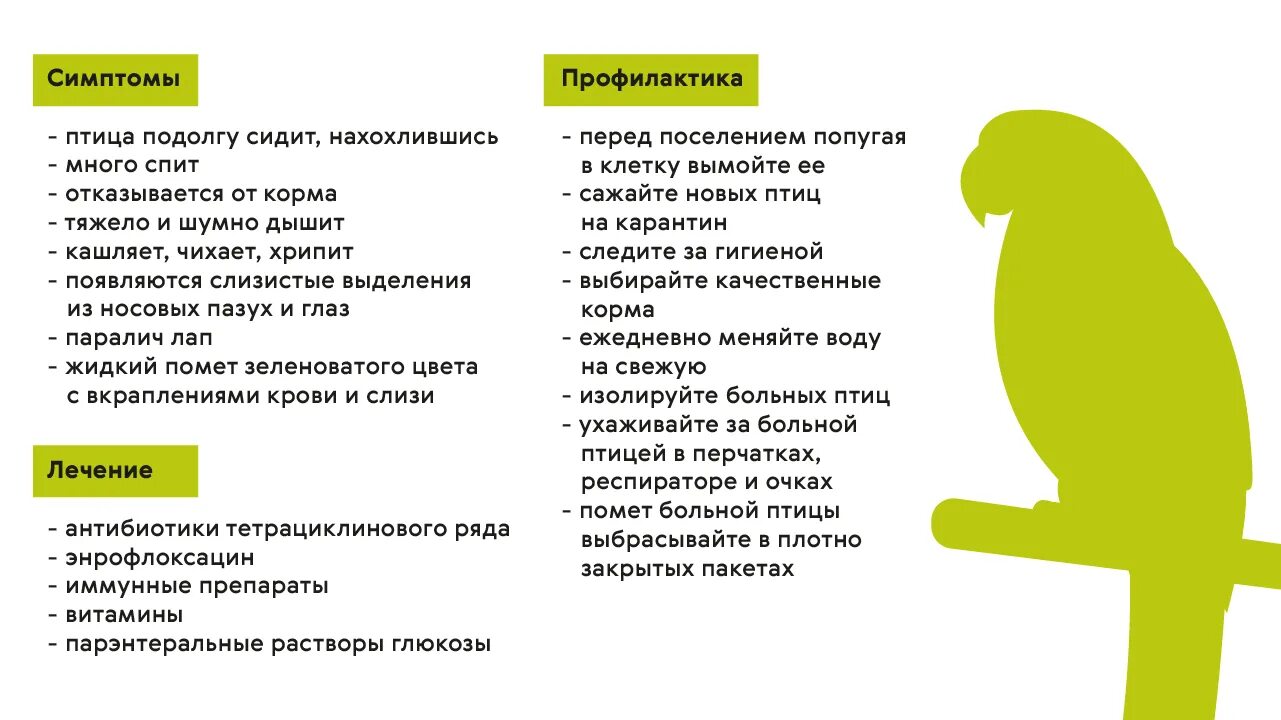 Орнитоз у человека лечение. Орнитоз птиц профилактика. Орнитоз у волнистого попугая симптомы.