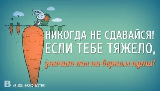 Мотивирующие цитаты. Нужный сдаваться. Мотивация цитаты. Мотивационные фразы. Никогда не сдавайся цитаты.