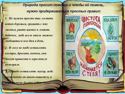 Эко сказка