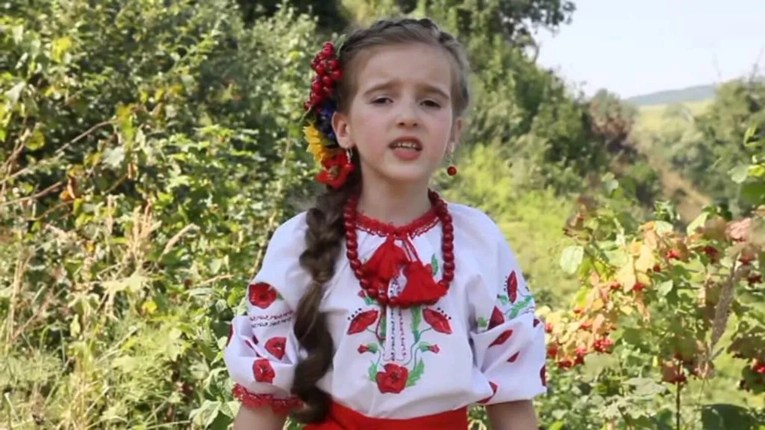 Украинские песни червона калина. Украинские песни червона калина. Хризантема червона калина. Червона калина листячко зелене. Червона калина.