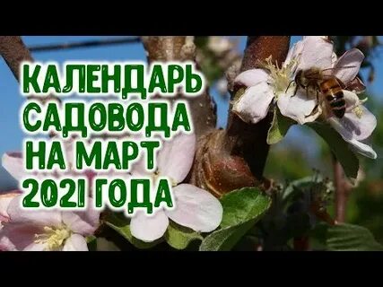 Садовод март 2021