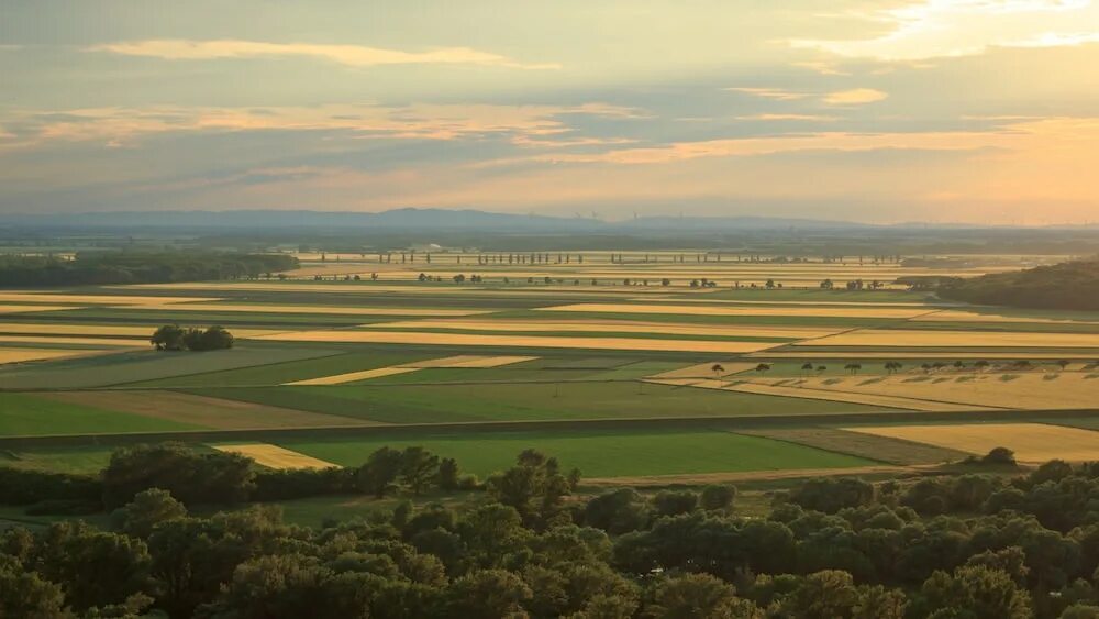 Aerial view поле. Равнина Канто в Японии. Aerial Landscape. Самолет трава поле. Field collections