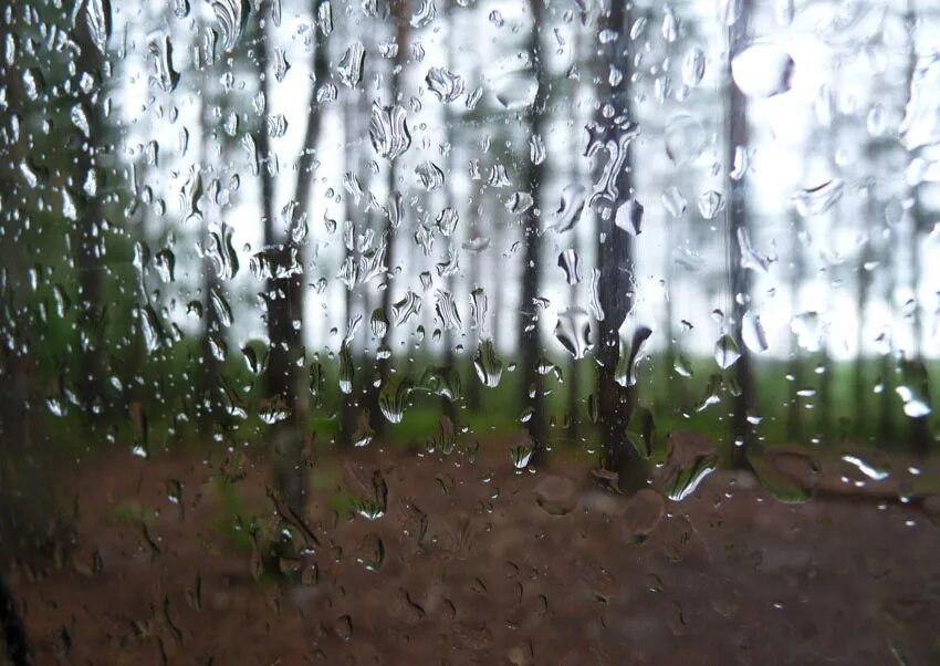 дождь за окном.