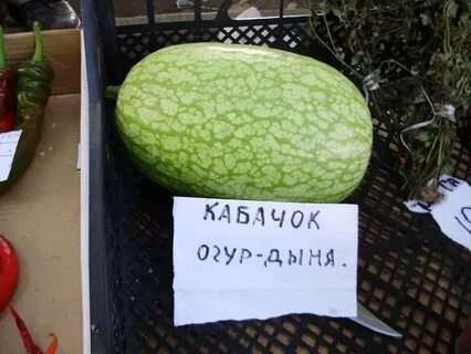 То ли фрукт то ли овощ