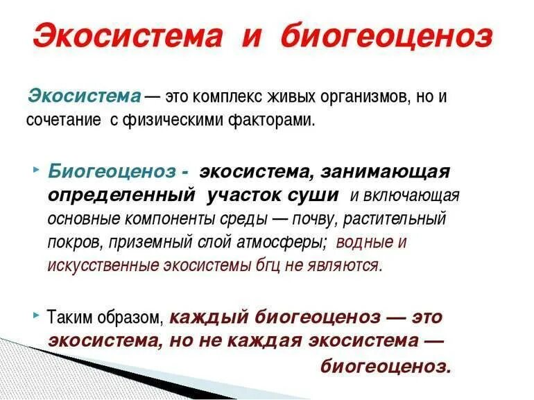Что называют биогеоценозом