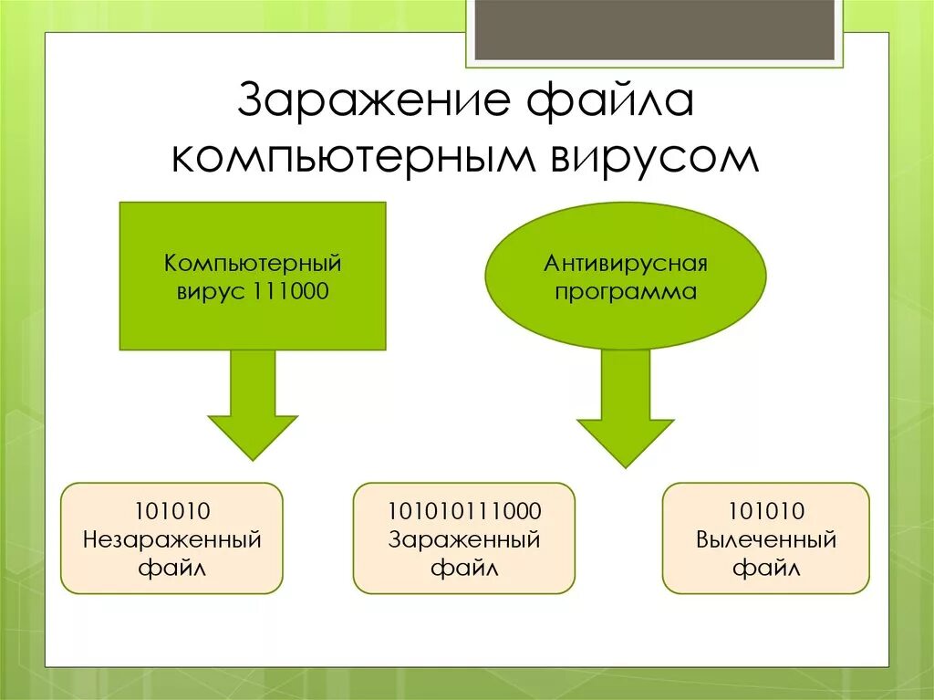 Схема заражения компьютера вирусами. Схема заражения файла вирусом. Заражению компьютерными вирусами могут подвергнуться. Какие типы файлов заражают файловые вирусы. Заразиться вирусом а можно ответ