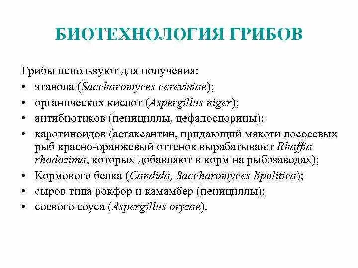 В каких биотехнологиях используют одноклеточные грибы