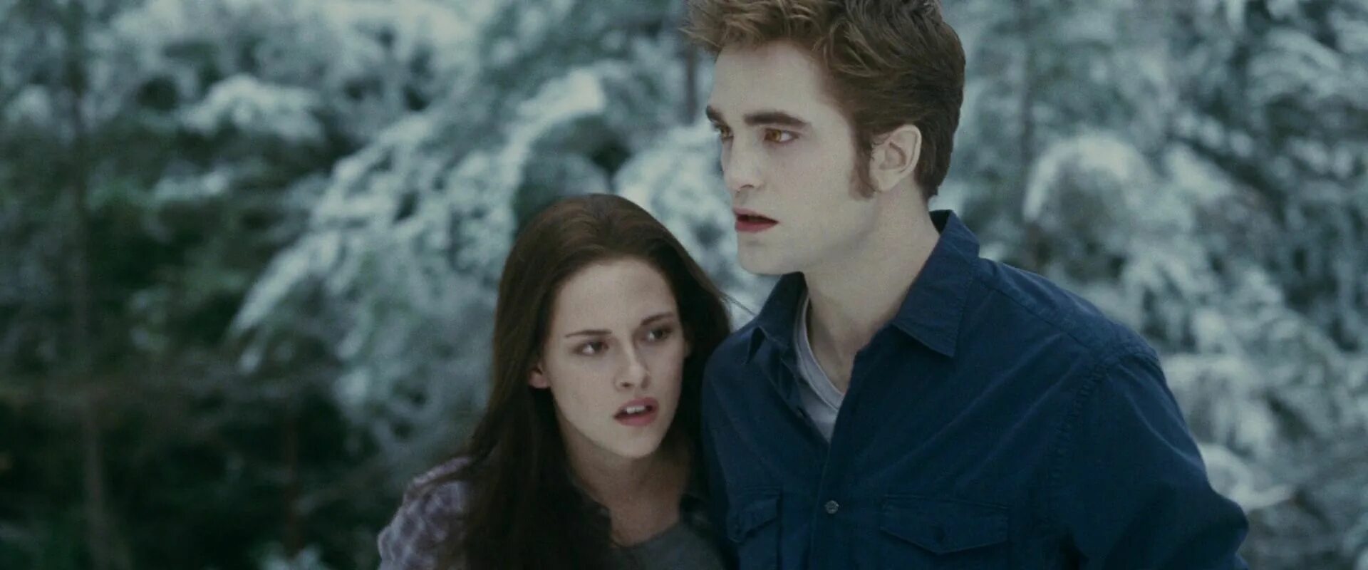 Сумерки обои. Сумерки сага новолуние 2 (2010). Читать в сумерках судьбы. Читать в сумерках судьбы. Сумерки сага 3 серия.