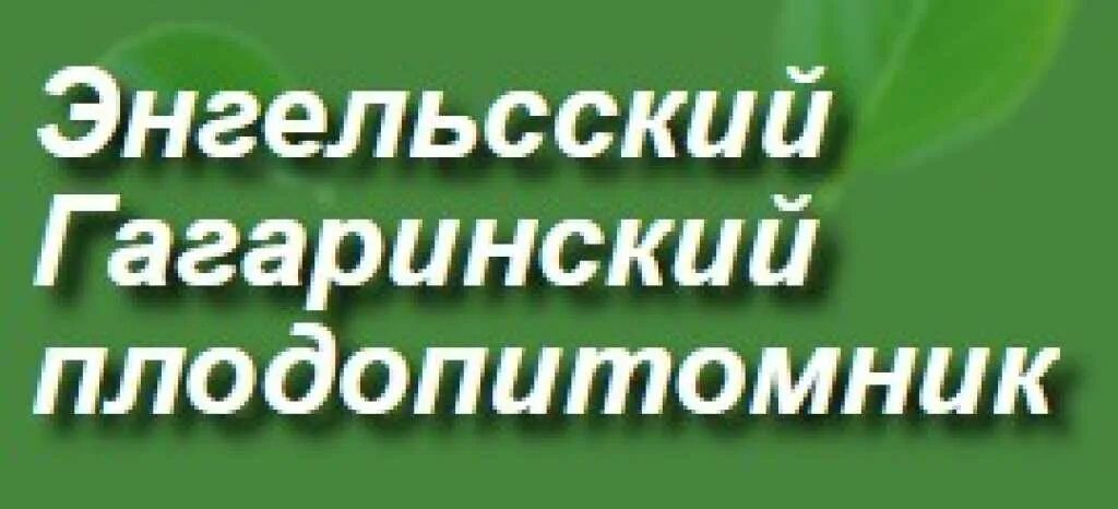 Питомник гагаринский в энгельсе каталог цены. Энгельсский Плодопитомник. Гагаринский Плодопитомник Энгельс. Саратов Гагаринский Плодопитомник. Плодопитомник Гагаринский в Энгельсе каталог товаров.