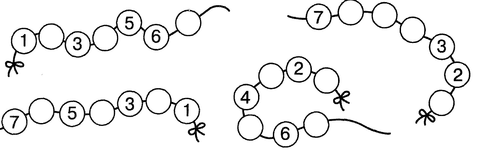 Числовая цепочка для дошкольников 6-7 лет. Математические Цепочки для дошкольников. Числовые Цепочки для дошкольников. Числовой ряд задания для дошкольников. Для составления цепочек разрешается использовать бусины 5