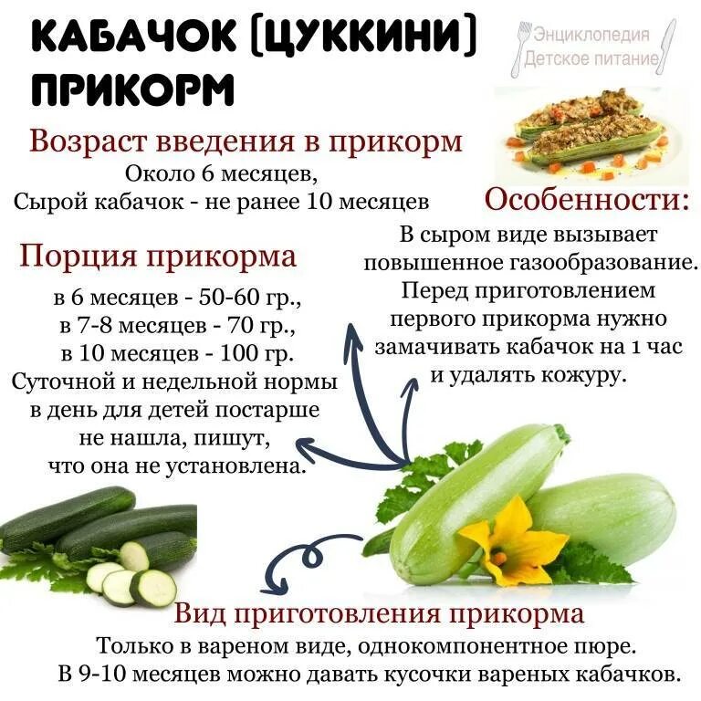 Можно кормящей кабачки