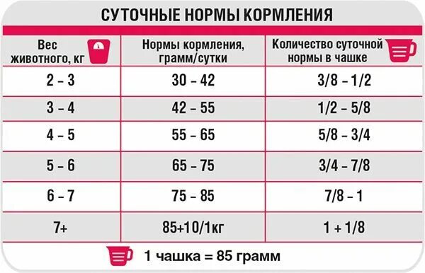 Сколько раз в день кормить кастрированного кота. Норма сухого корма для кошек. сколько корма нужно давать коту кастрированному в день. норма сухого корма для кастрированного кота. норма корма для кастрированного кота.