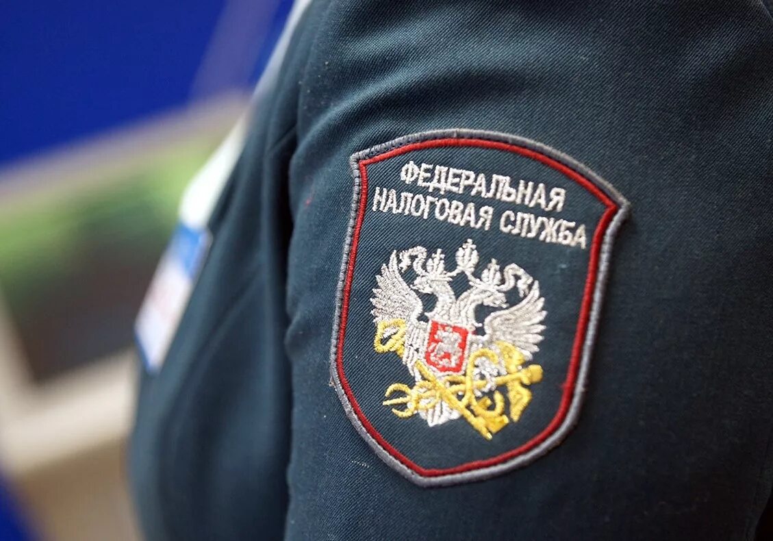 Вьюгин подал налоговую инспекцию