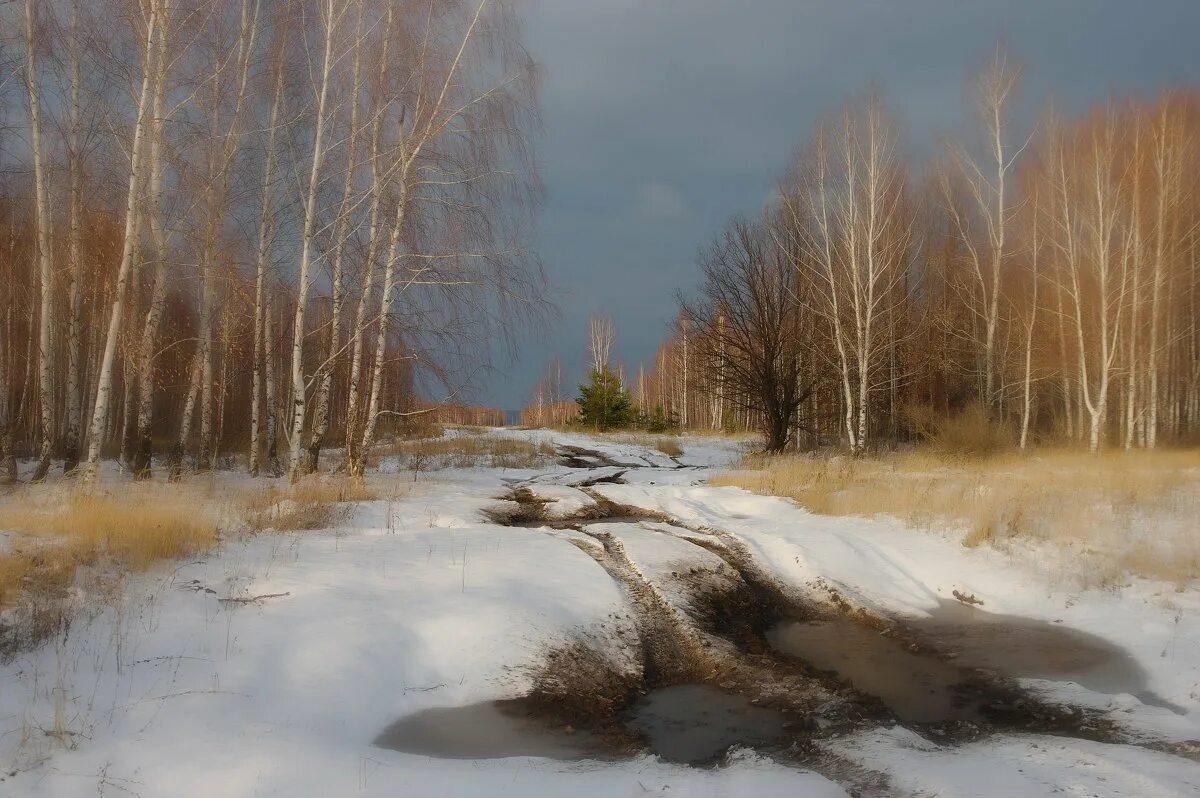 Овеянные первой оттепелью. Фотопейзажи Владимира Рябкова. Саврасов распутица.