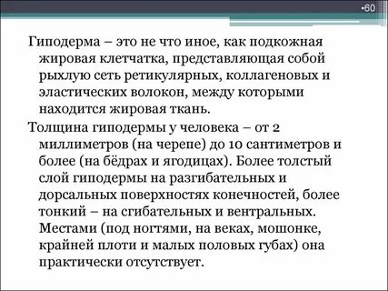 Гиподерма какая функция