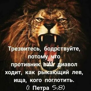 Тому что противник будет