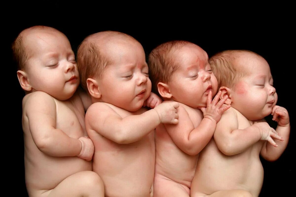Четверо малышей. Многоплодная беременность четверня. Многоплодная беременность Близнецы ,двойняшки. Четверняшки Леоновы. Тройняшки младенцы.