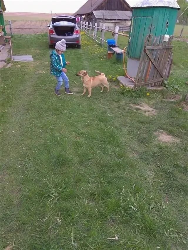 100 школа уфа директор. Найти в одноклассниках гена мезен. Мезенов александр сысерть. Одноклассники гена маликов. Геннадий 54 года саратов.