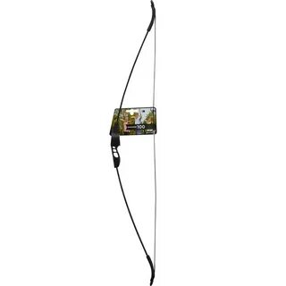 Archer 100