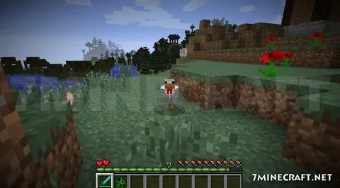 Morph 1.16 5