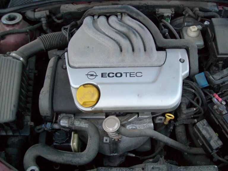 6 16v двигатель. 6 16v опель вектра б x16xel. 6. Opel vectra b 1. 6 мотор.