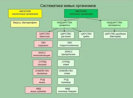Систематическая логика