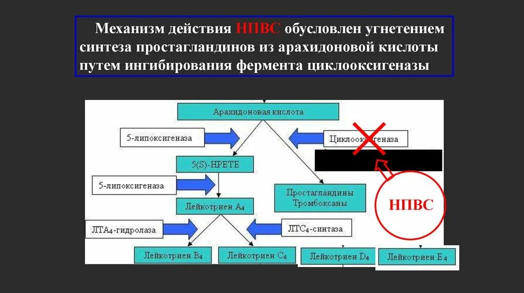 Действие простагландинов. Биологические эффекты простагландинов. Простагландины механизм действия. Подавление синтеза простагландинов. Простагландины механизм действия.