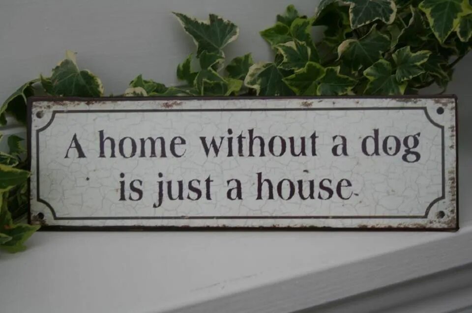 Without a h with. Earth without art is just eh. a home without a dog is just a house постер. home without dog is just a house. a house is not a home luther vandross.