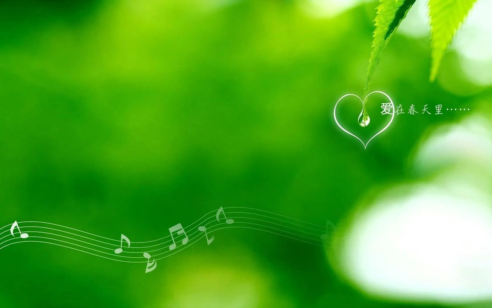 песня фон зеленый. летний музыкальный фон для афиши. подложка с нотками. музыкальный фон для презентации. музыкальный фон для презентации.