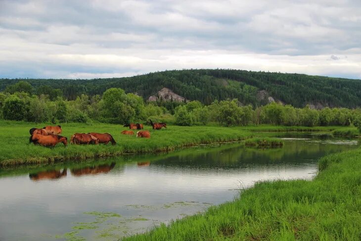 Сайт казачинское иркутской. Поселок Небель Казачинско-Ленский район. Село Тарасово Казачинско-Ленский район. Природа Казачинско-Ленского района Иркутской области. Поселок ключи Казачинско Ленский.