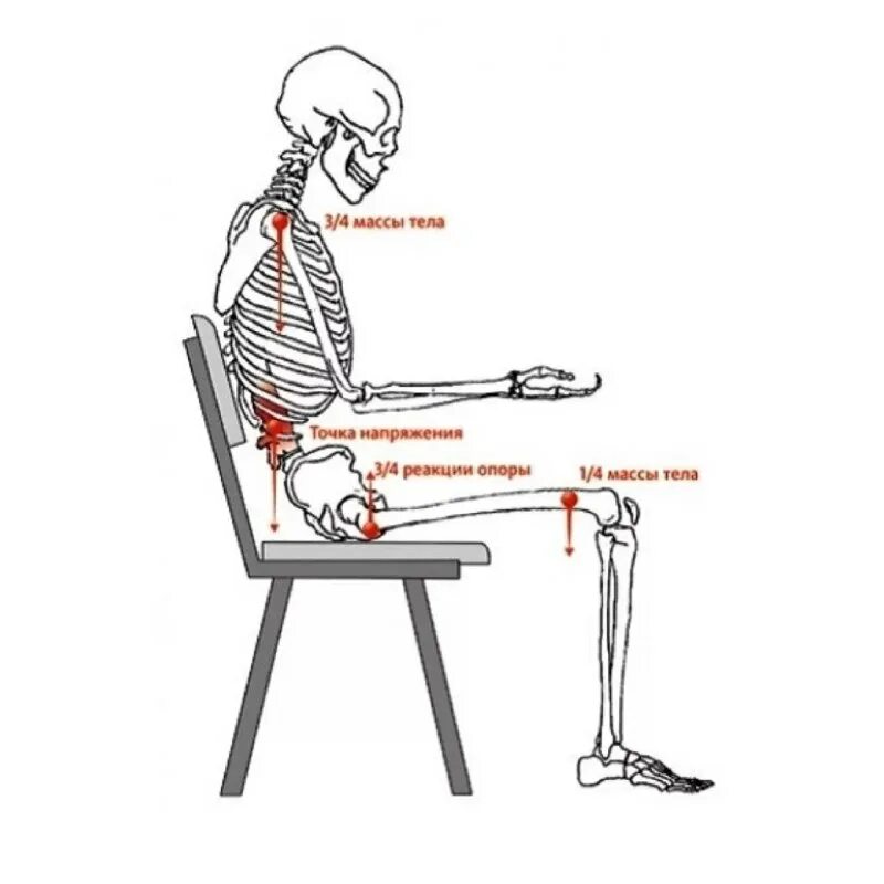 сидячий образ жизни последствия. в положении сидя болит. положение сидя. упражнения для снятия усталости спины. правильная поза сидения за компьютером.