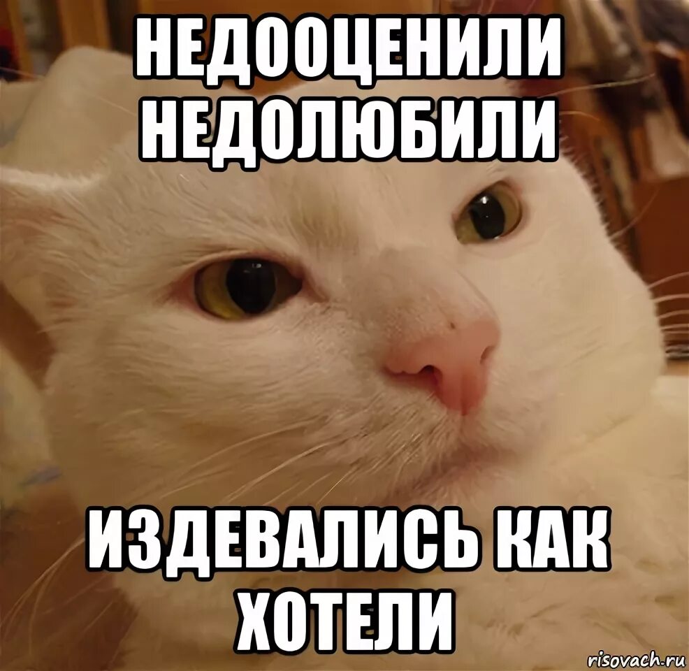 Издеваешься как пишется