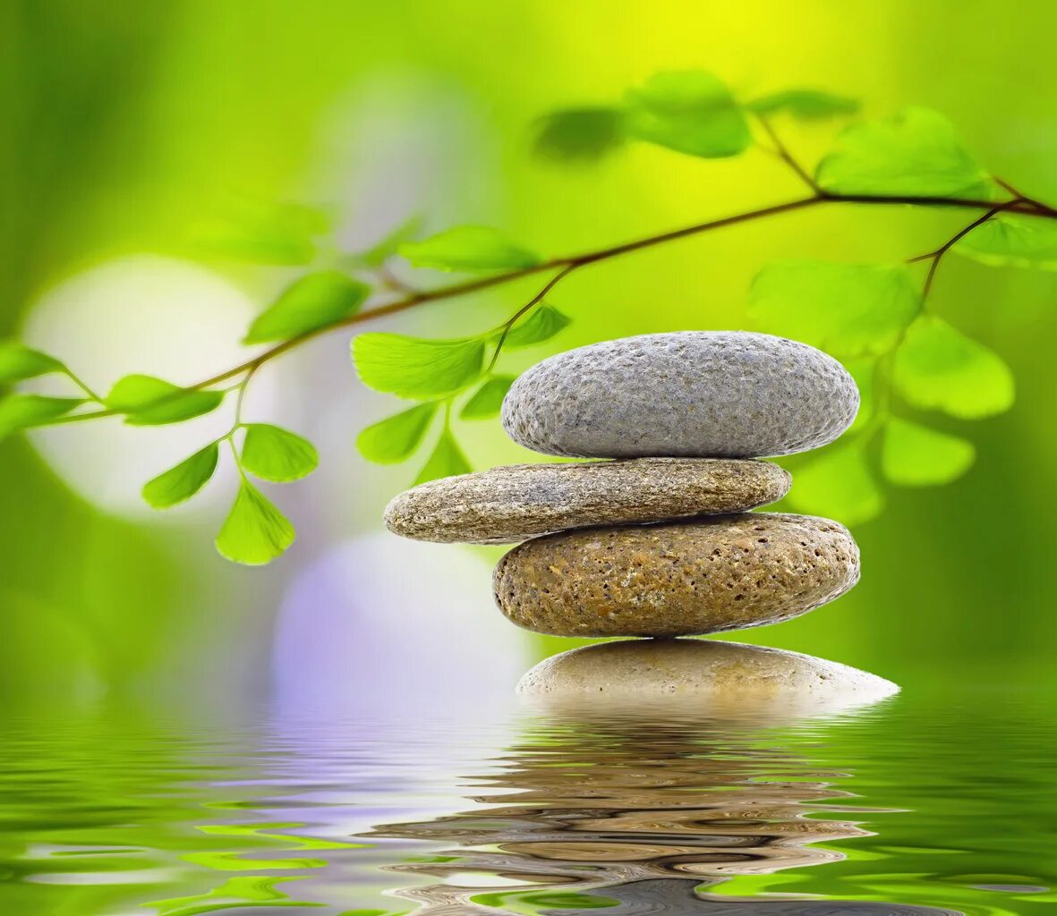 Равновесие в душе. Гармония природы. Баланс в природе. Гармония в природе камни. Гармония и баланс в природе.