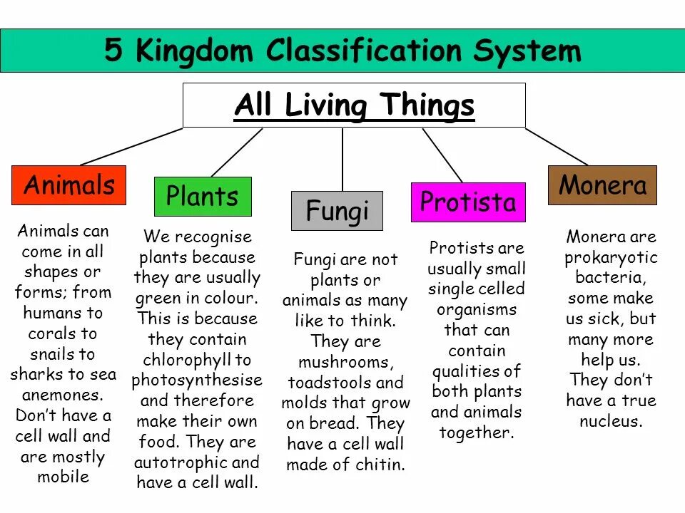 Classification system