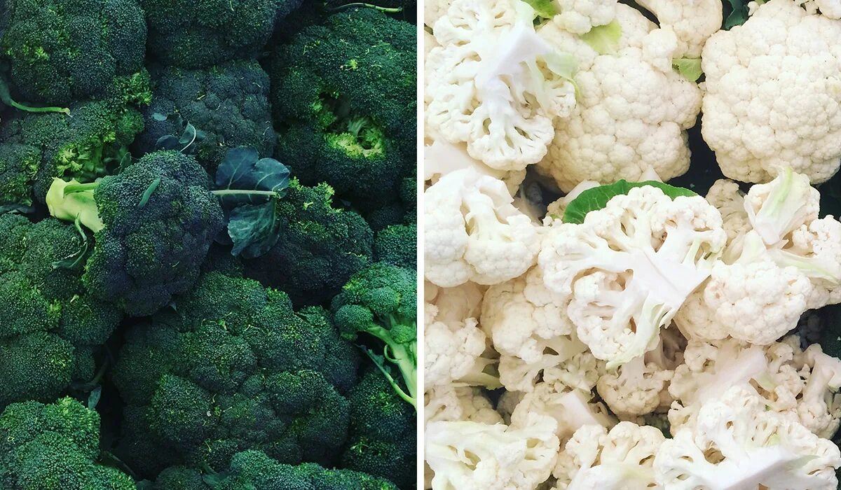 Тип брокколи. Капуста брокколи: сорт франклин. cauliflower американизм. капуста брокколи агаси. брокколи роб.