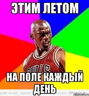 Шол или шел