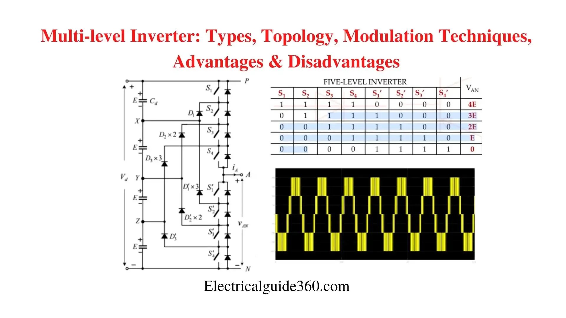 Multilevel master mock tests. Multilevel javobvaraqasi. multilevel sertfikat.