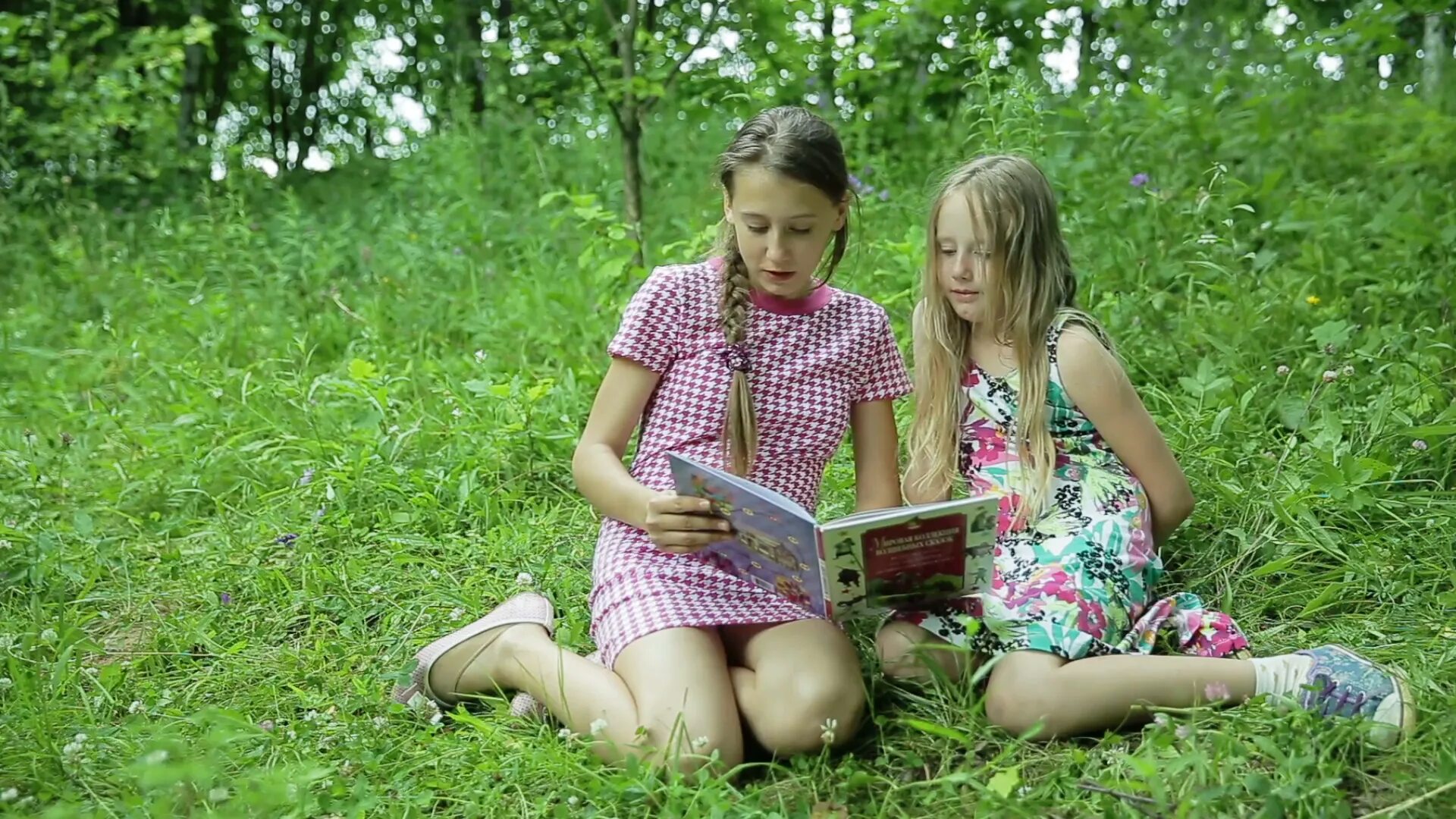 Юная плоскогрудая. Младшую сестру в лесу. Запретное лето. Старшая сестра домашнее.