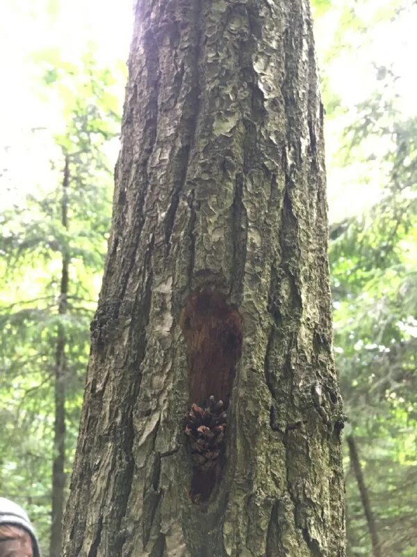 Нужный щель. Кирпич с отверстиями. Дырку от бублика а не шарапова. Река добрая щель краснодарский край. Дыра в крыше.