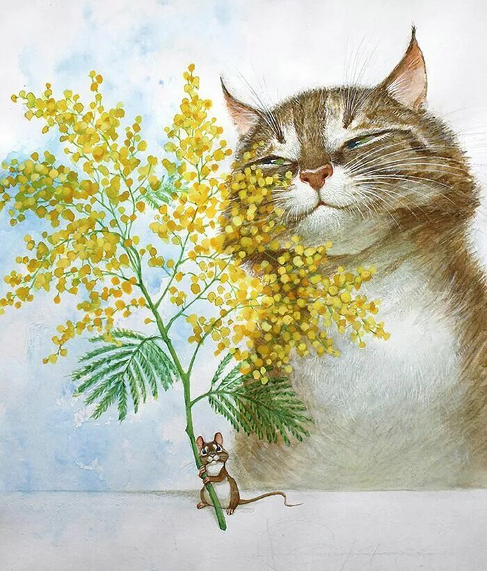 Можно ли кошкам есть мимозу