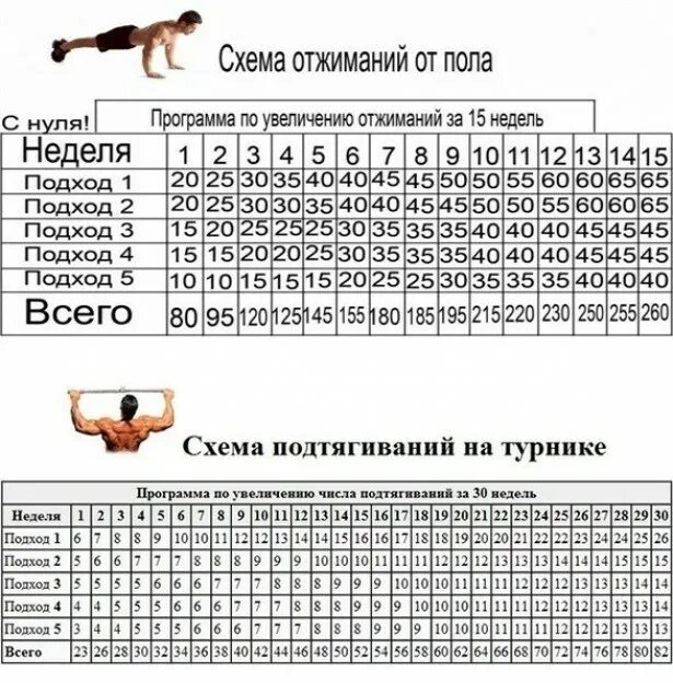 Сколько надо подтягиваться. Отжимания от пола программа тренировок с нуля. Схема тренировок на платформе для отжиманий. Программа отжиманий на 30 недель. Подходы для отжиманий для мужчин таблица.