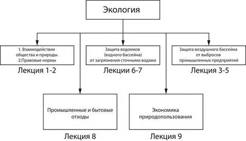 Взаимоотношения в экологии