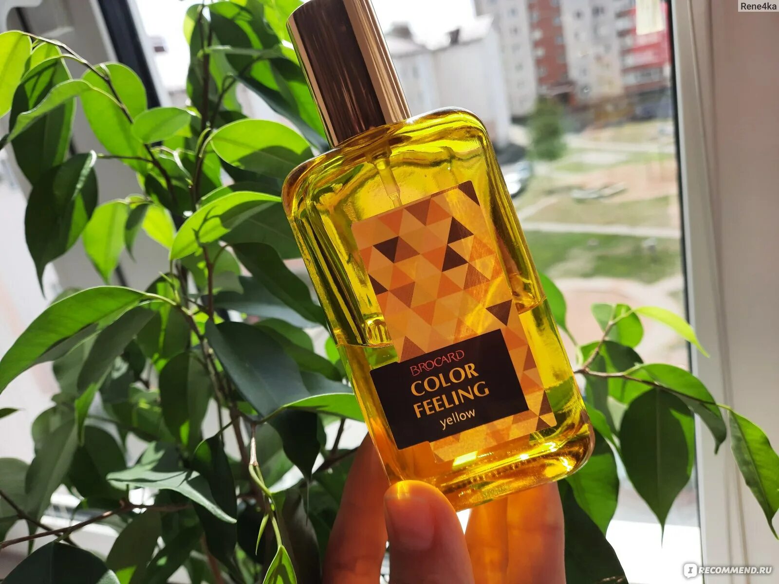 Feeling yellow. Brocard желтый. Feeling yellow. Feeling yellow. Духи брокард color yellow.