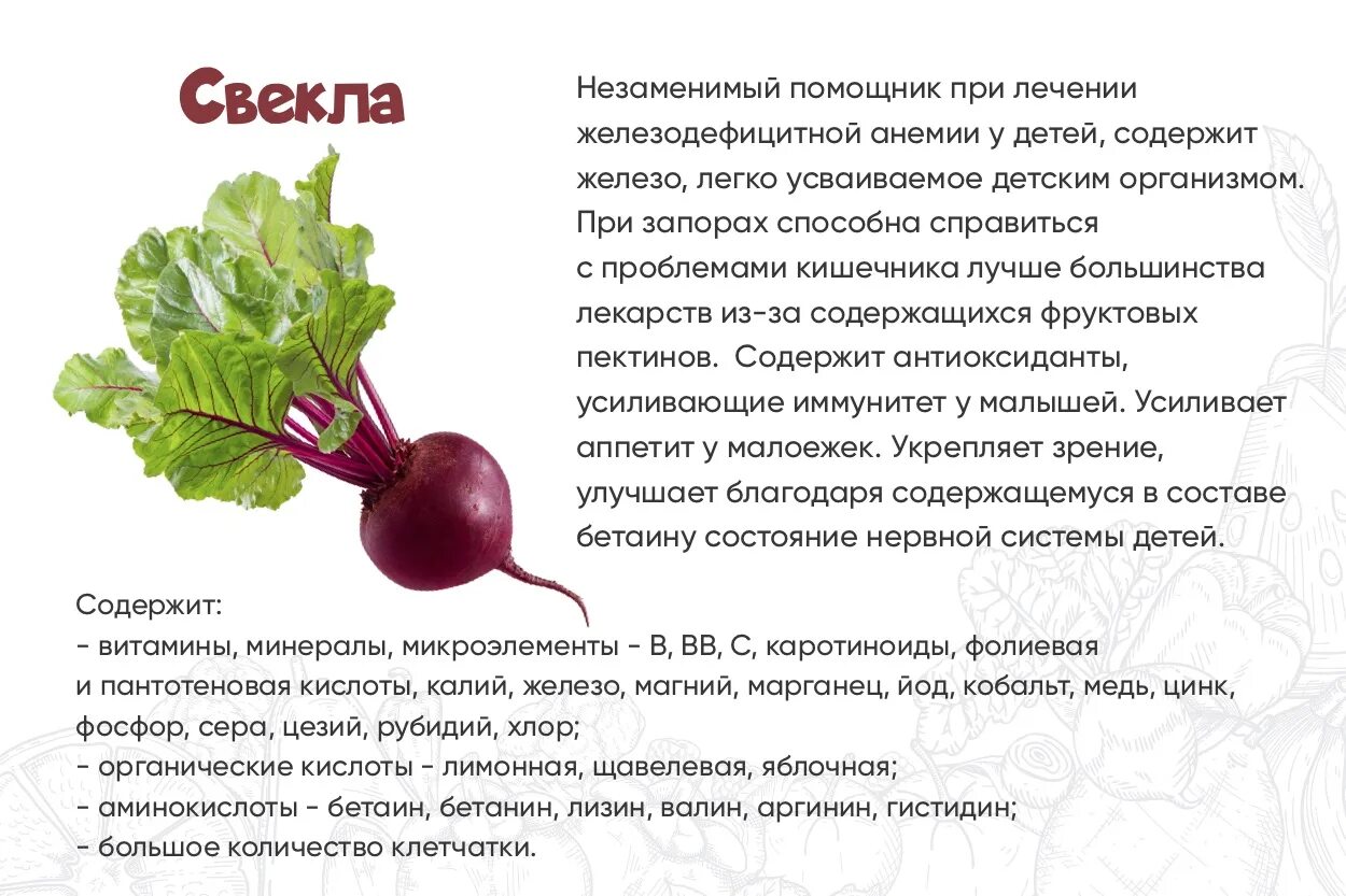 Есть свеклу на ночь. Свекла. Что полезного в свекле. Чем полезна свекла. Полезное детям о свекле.