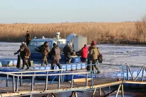 Креницы волховский
